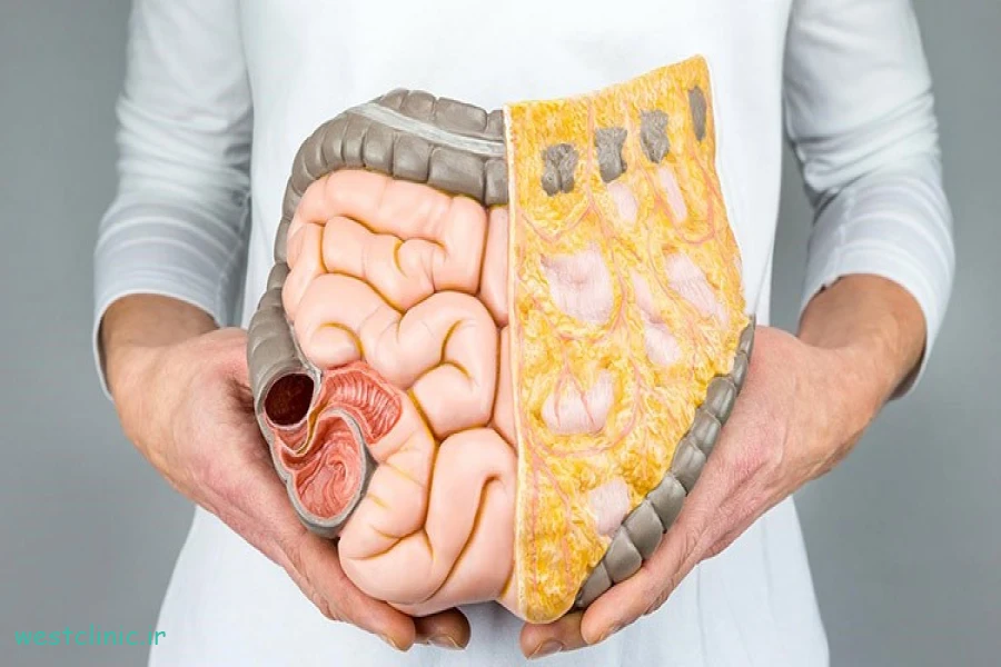 بیماری‌های گوارشی از نگاه طب سنتی و پزشکی مدرن